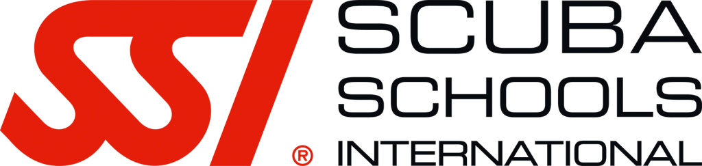 SSI logo